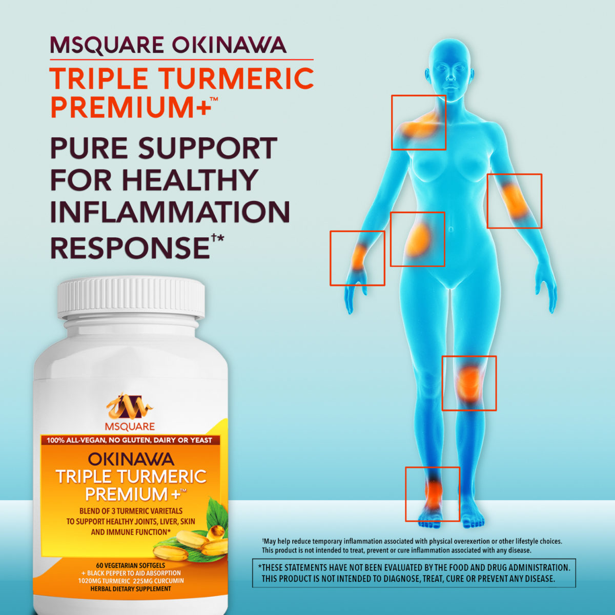 MSquare Okinawa Triple Turmeric Premium + Supports Joint Health